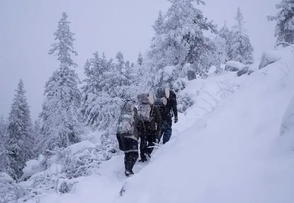 Ảnh Phật Hoạt Hình