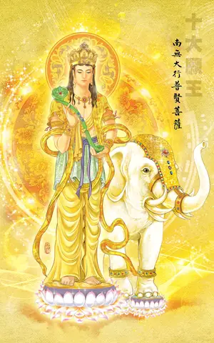 Ảnh Phật Phổ Hiền Bồ Tát Đẹp Là Gì?