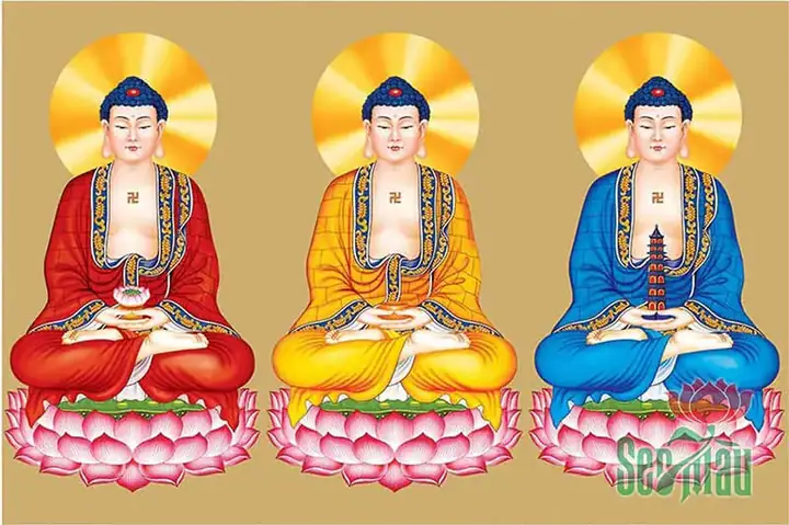 Tổng Hợp 99+ Hình Ảnh Tam Thế Phật Đẹp Nhất