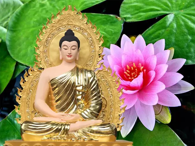 Mời Quý Phật Tử Hoan Hỷ Xem Những Hình Ảnh Của Phật Tổ Như Lai Đẹp Nhất Đã Được Trần Gia Chọn Lọc Kỹ Lưỡng: