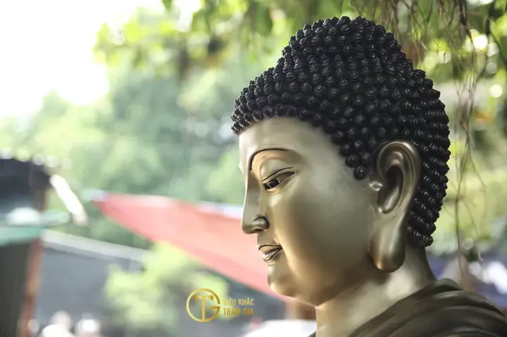 Mời Quý Phật Tử Hoan Hỷ Xem Những Hình Ảnh Của Phật Tổ Như Lai Đẹp Nhất Đã Được Trần Gia Chọn Lọc Kỹ Lưỡng: