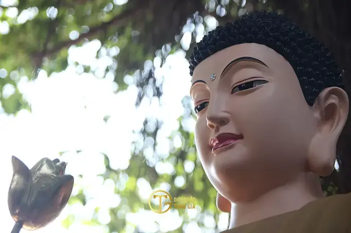 Mời Quý Phật Tử Hoan Hỷ Xem Những Hình Ảnh Của Phật Tổ Như Lai Đẹp Nhất Đã Được Trần Gia Chọn Lọc Kỹ Lưỡng: