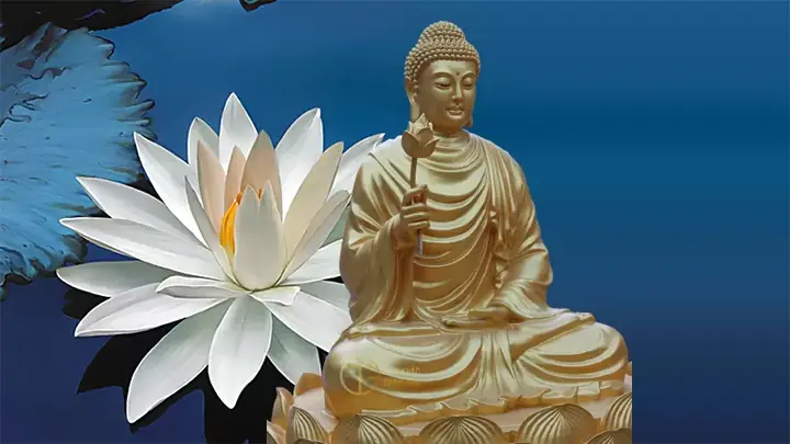 Mời Quý Phật Tử Hoan Hỷ Xem Những Hình Ảnh Của Phật Tổ Như Lai Đẹp Nhất Đã Được Trần Gia Chọn Lọc Kỹ Lưỡng: