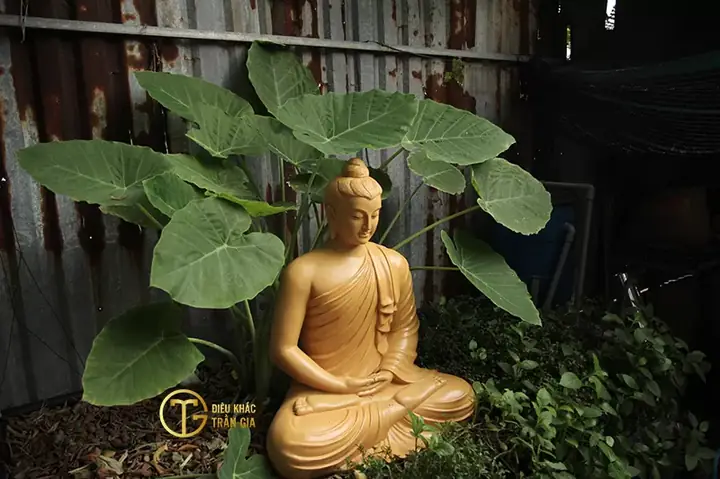 Mời Quý Phật Tử Hoan Hỷ Xem Những Hình Ảnh Của Phật Tổ Như Lai Đẹp Nhất Đã Được Trần Gia Chọn Lọc Kỹ Lưỡng: