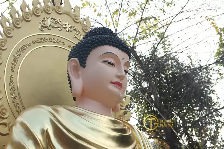 Mời Quý Phật Tử Hoan Hỷ Xem Những Hình Ảnh Của Phật Tổ Như Lai Đẹp Nhất Đã Được Trần Gia Chọn Lọc Kỹ Lưỡng: