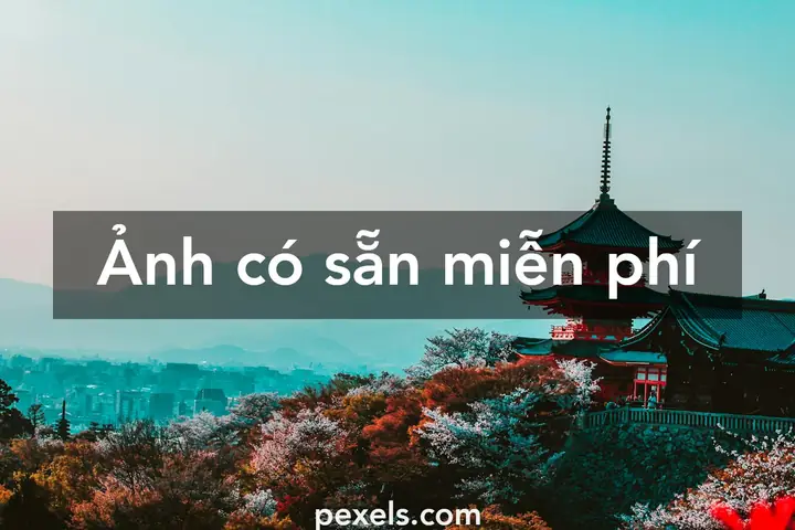 300.000+ Ảnh Đẹp Nhất Về Chùa Phật · Tải Xuống Miễn Phí 100 ...