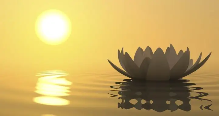 Hình Ảnh Cho Ảnh Đẹp Về Phật Pháp: