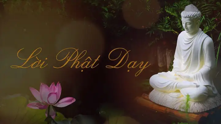 Hình Ảnh Cho Ảnh Đẹp Về Phật Pháp: