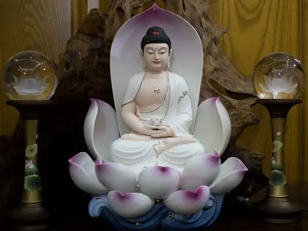 Ý Nghĩa Bài Hát Liên Hoa