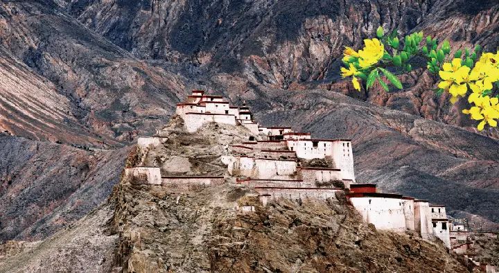 Hiện Tượng Luận Và Bản Thể Luận Trong Phật Giáo