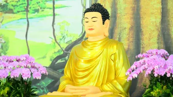 Thế Nào Là Pháp Thân, Báo Thân Và Ứng Thân Của Đức Phật?