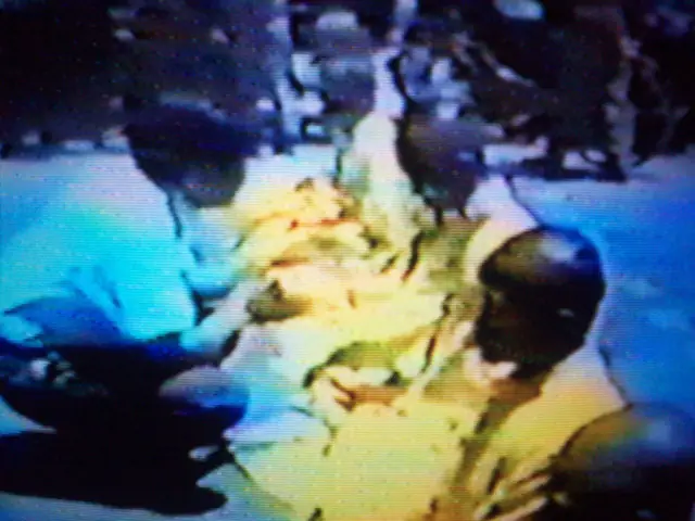 Biểu Tình Phật Giáo Huế 1993