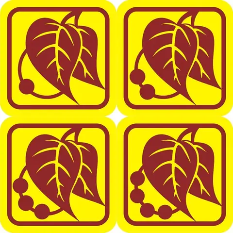 Vấn Đề Cấp Bậc Trong Gia Đình Phật Tử Việt Nam - Gđpt An Giang