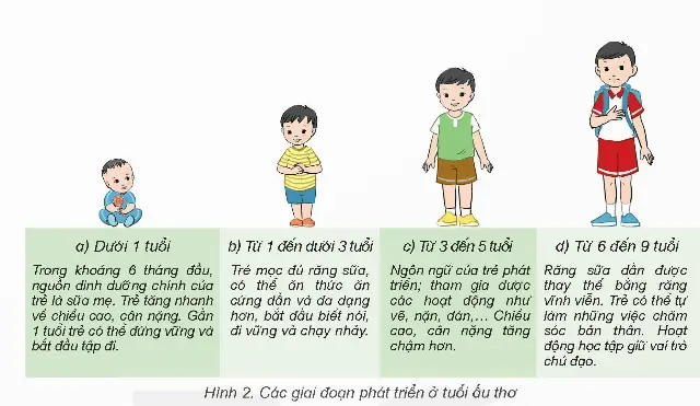 Các Giai Đoạn Phát Triển Của Phật Giáo: Hành Trình Lịch Sử Từ Ấn Độ Đến Toàn Cầu