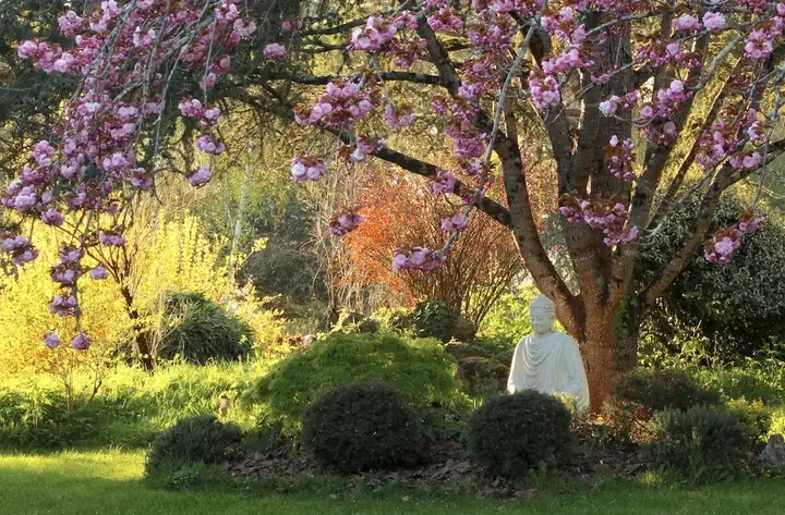 Học Và Ứng Dụng Giới Luật Phật Giáo Trong Đời Sống Tu Tập | Giác Ngộ ...