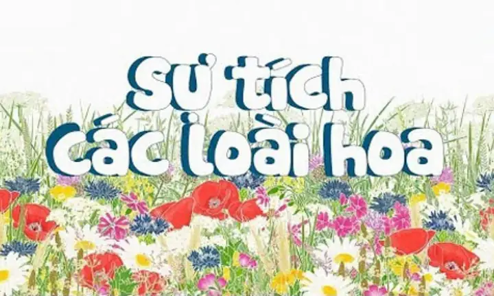 Kế Hoạch Hoạt Động Chi Tiết