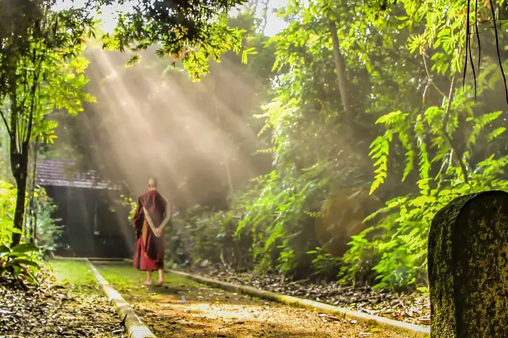 Tất Cả Nghiệp Báo Đều Do Chính Nơi Chúng Ta Tạo Tác.