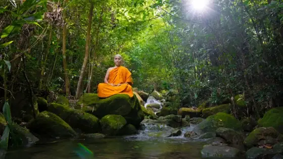 Một Cách Hiểu Và Phân Loại Thiền Trong Phật Giáo