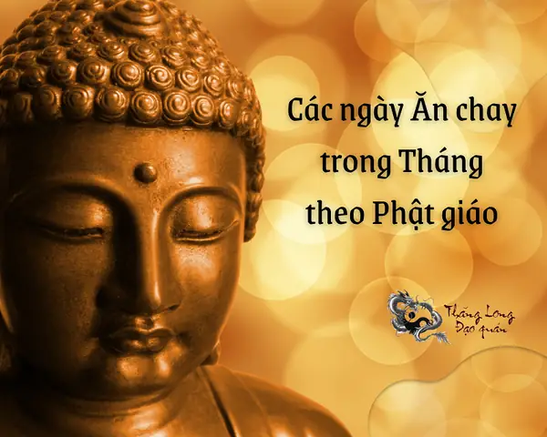 Theo Quan Điểm Phật Giáo