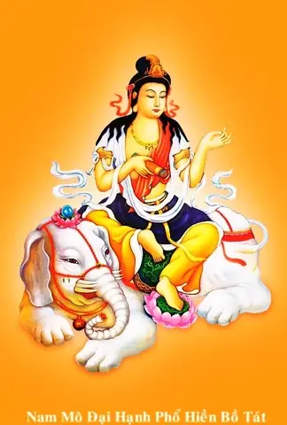 Bồ Tát Văn Thù Đã Xuất Hiện Hầu Như Trong Tất Cả Các Kinh Điển Quan Trọng Của Phật Giáo Đại Thừa: Hoa Nghiêm, Thủ Lăng Nghiêm, Pháp Hoa, Duy Ma Cật,… Như Là Một Nhân Vật Thân Cận Nhất Của Đức Phật Thích Ca, Khi Thì Chính Thức Thay Mặt Đức Thế Tôn Diễn Nói Chánh Pháp, Có Lúc Lại Đóng Vai Tuồng Làm Người Điều Hành Chương Trình Để Giới Thiệu Đến Thính Chúng Một Thời Pháp Quan Trọng Của Đức Bổn Sư.