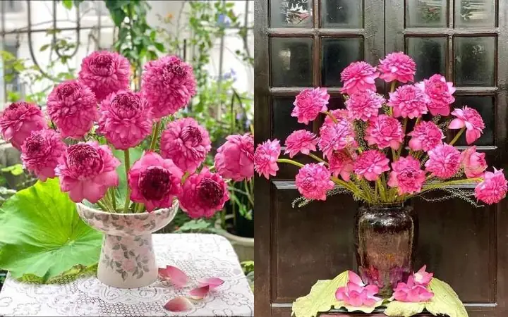 Cách Cắm Hoa Sen Nghìn Tay Cúng Phật Đẹp Dịp Tết