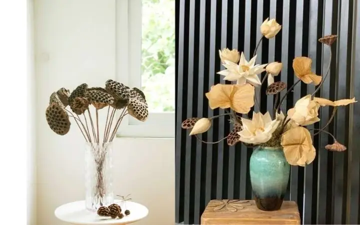 Cách Cắm Hoa Sen Khô