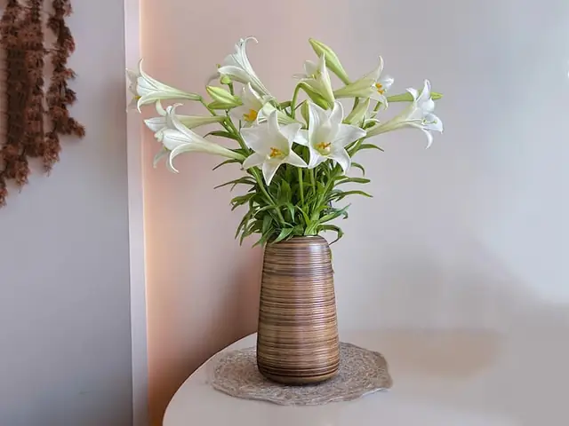 Tại Sao Hoa Ly Là Lựa Chọn Phổ Biến Cắm Trên Bàn Thờ Phật?