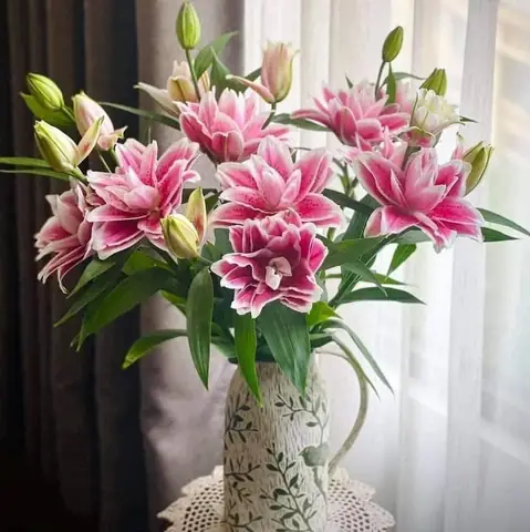 Những Sai Lầm Cần Tránh Khi Cắm Hoa Ly Bàn Thờ Phật