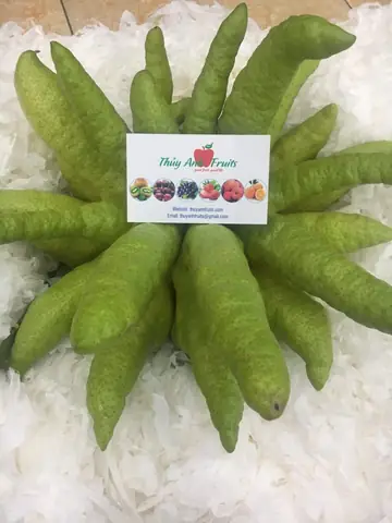 Cách Chơi Phật Thủ