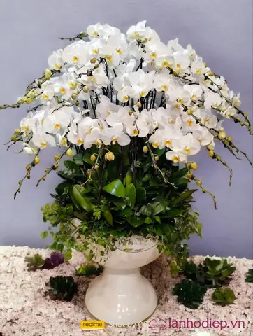 Gợi Ý Cách Chọn Hoa Đi Lễ Chùa Vào Dịp Phật Đản Sắp Tới