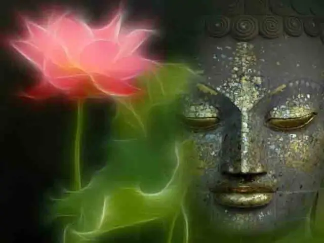 "cái Biết" Trong Chơn Lý Tổ Sư Minh Đăng Quang