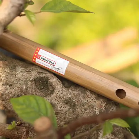 Cảm Âm Lạy Phật Quan Âm