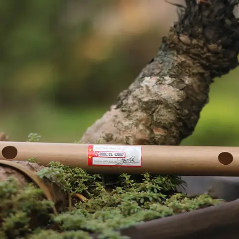 Cảm Âm Lạy Phật Quan Âm