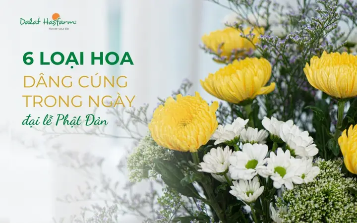 Gợi Ý 6 Loại Hoa Dâng Cúng Trong Ngày Đại Lễ Phật Đản