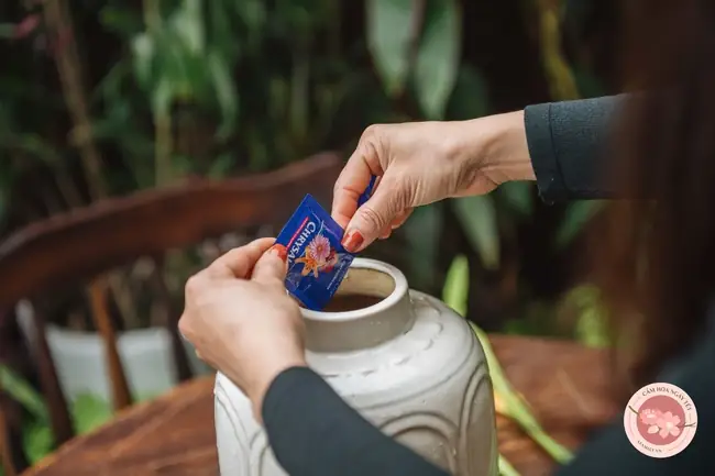 Vừa Dễ Cắm Lại Vừa Đẹp, Hoa Cẩm Chướng Chính Là Loại Hoa Không Thể Thiếu Trong Ngày Tết