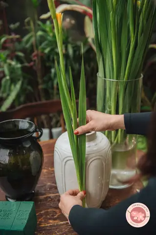 Cắm Hoa Lay Ơn Tay Phật