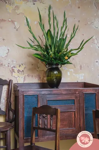 Vừa Dễ Cắm Lại Vừa Đẹp, Hoa Cẩm Chướng Chính Là Loại Hoa Không Thể Thiếu Trong Ngày Tết