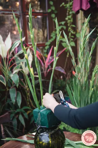 Cắm Hoa Lay Ơn Tay Phật