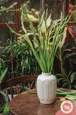 Vừa Dễ Cắm Lại Vừa Đẹp, Hoa Cẩm Chướng Chính Là Loại Hoa Không Thể Thiếu Trong Ngày Tết