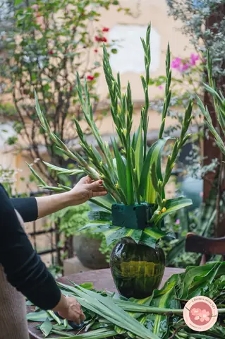 Cắm Hoa Lay Ơn Tay Phật