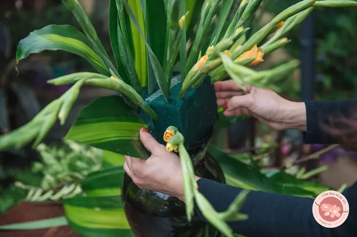 Cắm Hoa Lay Ơn Tay Phật