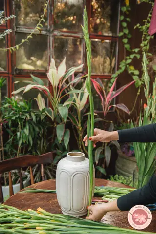 Cắm Hoa Lay Ơn Tay Phật