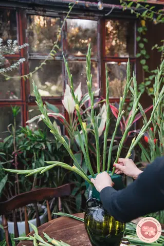 Cắm Hoa Lay Ơn Tay Phật