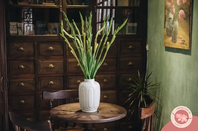 Vừa Dễ Cắm Lại Vừa Đẹp, Hoa Cẩm Chướng Chính Là Loại Hoa Không Thể Thiếu Trong Ngày Tết