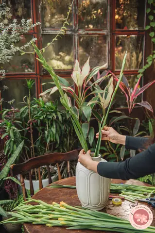 Cắm Hoa Lay Ơn Tay Phật