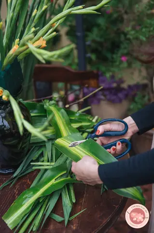 Cắm Hoa Lay Ơn Tay Phật