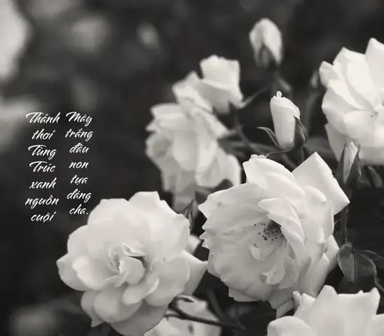 Câu Đối Đám Tang Cha