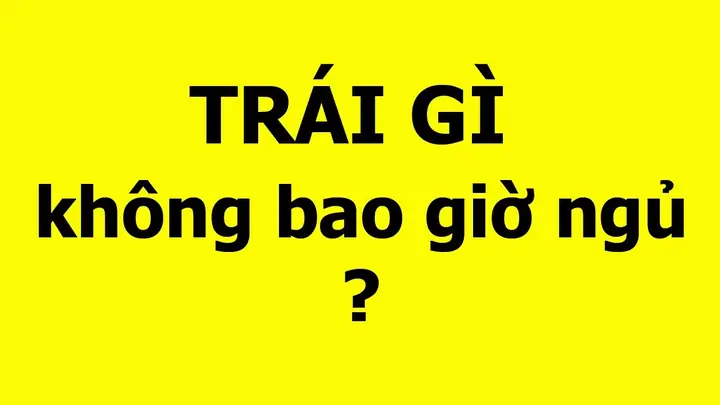 Câu Hỏi Vui Nhộn - Tạo Tiếng Cười Và Gắn Kết Mọi Người