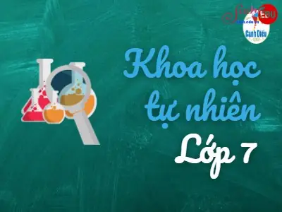 Câu Hỏi Trắc Nghiệm Khtn 7 Cánh Diều: Tổng Hợp Đề Thi Và Bài Tập Ôn Luyện Hiệu Quả