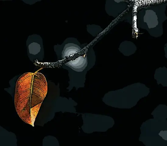 Cầu Nguyện Cho Người Đã Khuất Theo Tinh Thần Phật Giáo Nguyên Thủy